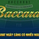 Game Baccarat ngày càng có nhiều người tham gia