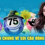 Nhận định chung về soi cầu rồng bạch kim