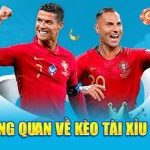 Tổng quan về kèo tài xỉu 2.5